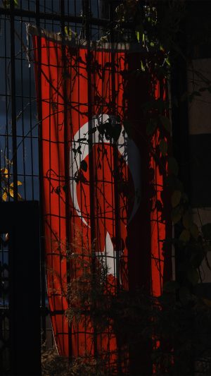Eser Görseli