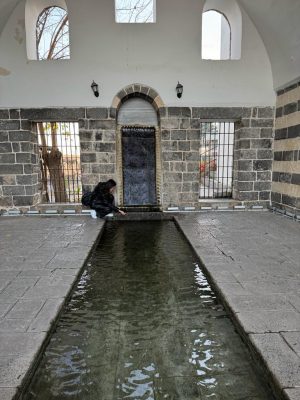 Eser Görseli